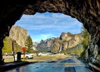 50 Year Golden Wedding Anniversary Celebrated in Yosemite National Park