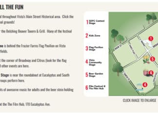 Where to Find All the Fun at Strawberry Festival