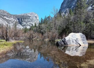 50 Year Wedding Anniversary Celebrated in Yosemite National Park Part 2