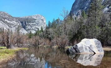 50 Year Wedding Anniversary Celebrated in Yosemite National Park Part 2