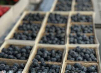 Goodies For The Holiday Weekend Ahead!