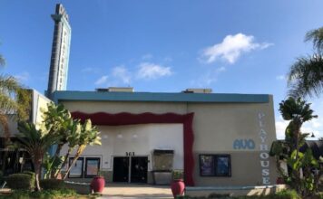 Avo Committee Hears from Local Theatre Owners, Directors and Managers