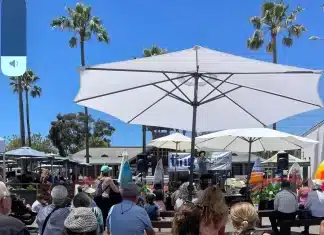 ART IN THE VILLAGE: A FUSION OF VISUAL ART AND LIVE MUSICAL PERFORMANCES