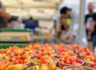 Summer’s Bounty: Fresh Cherries Are Calling