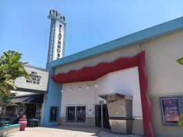 What is the Future of the Historic Avo Theatre in Downtown Vista?