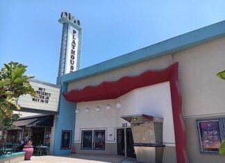 What is the Future of the Historic Avo Theatre in Downtown Vista?