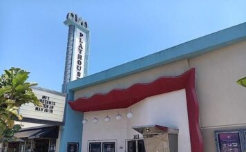 What is the Future of the Historic Avo Theatre in Downtown Vista?