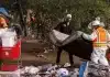 Sheriff’s Office and Escondido Police Department Conduct Encampment Cleanup Operation