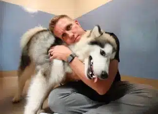 Popular YouTuber Rocky Kanaka Aims to Empty an Entire Shelter of 140 Dogs in One Week—Can He Do It?