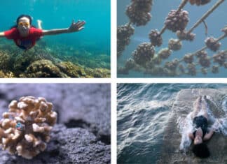 Oceanside Museum of Art to Present Transformative Currents: Art and Action in the Pacific Ocean