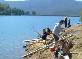 California’s Heatwave Evaporates Billions of Gallons of Water from Reservoirs