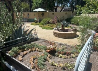 Vista Irrigation District Announces Watersmart Landscape Contest Winner