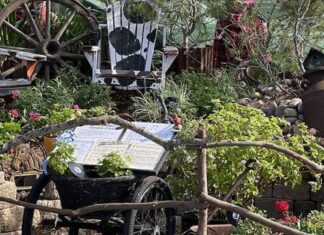 Award-Winning County Fair Landscape Exhibits Educate and Entertain