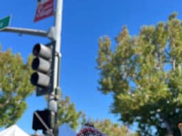 Beat the Heat with Just Bananas