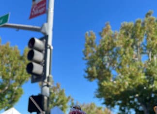 Beat the Heat with Just Bananas