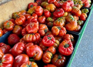 Discover the Best of Summer Produce