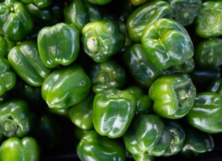 Taste the Season: Bell Peppers