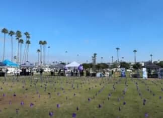 Purple Flags Mark International Overdose Awareness Day Observance