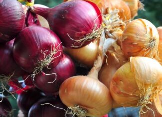 Stock Up for Labor Day BBQ at the Market