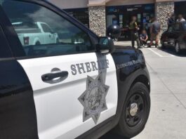 Safe Streets Cameras and Flock LPR Technology Assist with Stabbing Arrest.