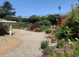 Vista Irrigation District and Vallecitos Water District Host Free Landscape Workshops