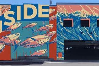 New Oceanside Transit Center Mural by Artist Jonny Pucci
