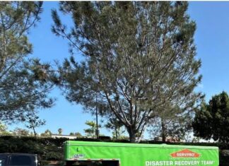 On the Road to a Large Commercial Loss…