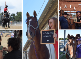 14th Annual Ivey Ranch Park Western Hoedown October 12th