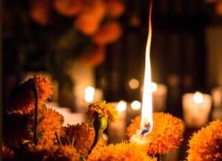 Celebrate Día de los Muertos With Us!