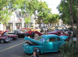 Pride of Vista Lions Club Trunk or Treat Car Show a Success