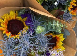 Harvest Blooms Await at The Market