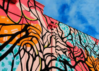 Empowering Nonprofits to Support Escondido’s Seniors – Grant Opportunity