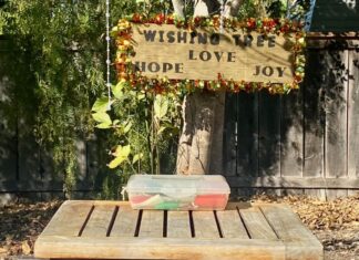 Vista’s Wishing Tree Returns