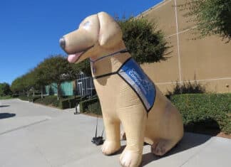 Canine Companions Graduates Eleven New Service Dogs at Graduation Ceremony