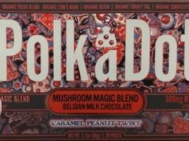 Narcotics Seizure Chocolate Bars Containing Narcotics