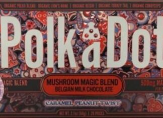 Narcotics Seizure Chocolate Bars Containing Narcotics