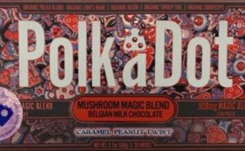 Narcotics Seizure Chocolate Bars Containing Narcotics
