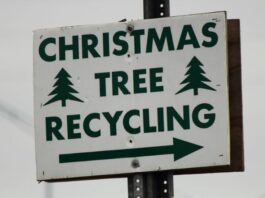 Jingle Bells, Jingle Bells, Recycling Time is Here
