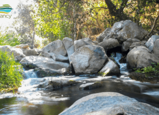 City of Escondido Declares Local Emergency