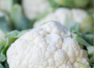 Holiday Makers Market | Merry Melodies | Farmers Market Today