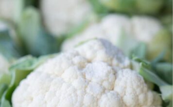 Holiday Makers Market | Merry Melodies | Farmers Market Today