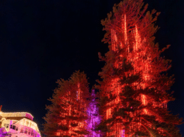 Hotel del Coronado with 12-Minute Holiday Light Show on World’s First Electrically Lit Outdoor Christmas Tree