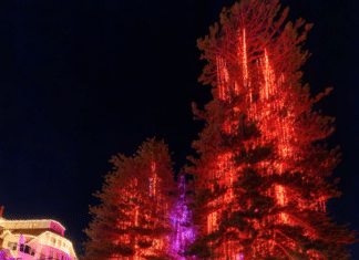 Hotel del Coronado with 12-Minute Holiday Light Show on World’s First Electrically Lit Outdoor Christmas Tree