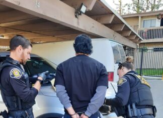 HOMICIDE INVESTIGATION UPDATE: SUSPECT ARRESTED