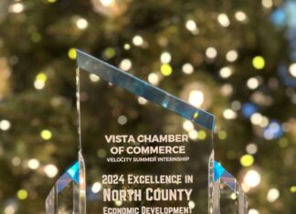 Vista Chamber Wins DEVVIE Award for Velocity Summer Internship Program