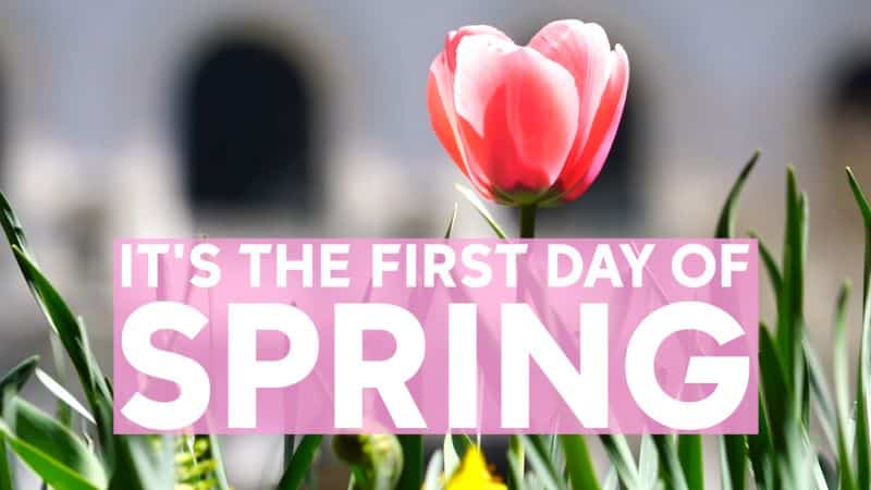 Important Dates for the Month of March | North County Daily Star