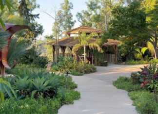 Tree Circus at Alta Vista Botanical Gardens Kids in the Garden Class
