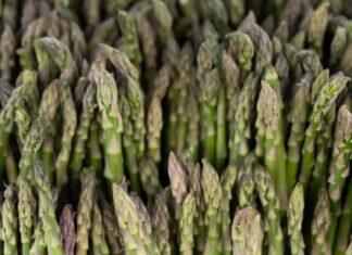 Spring’s Best at the Farmers Market