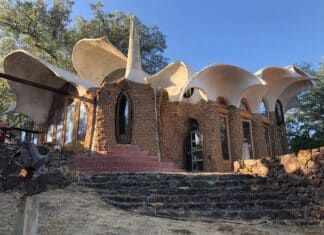 Ilan-Lael Foundation Spring Tours Returns with New Saturday Socials