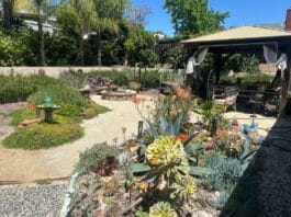 2025 WaterSmart Landscape Contest Accepting Applications